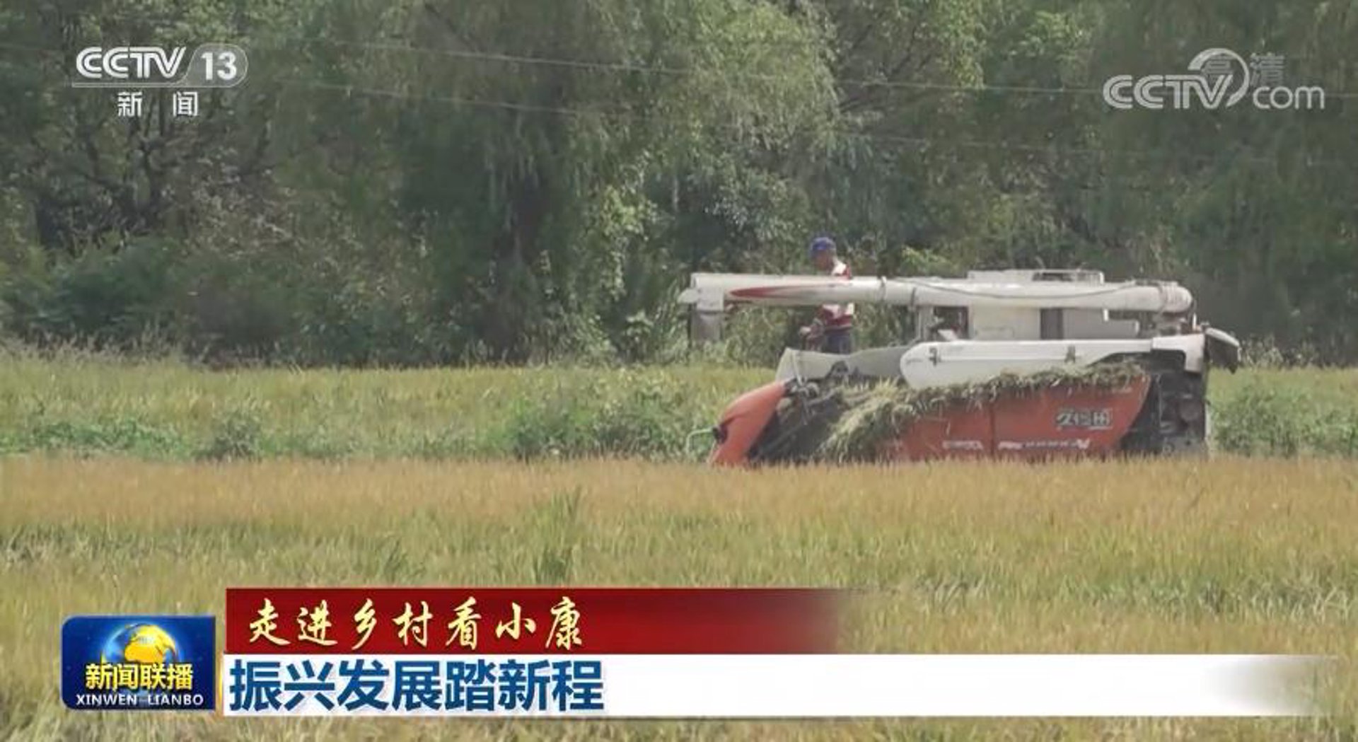 永振肉牛养殖